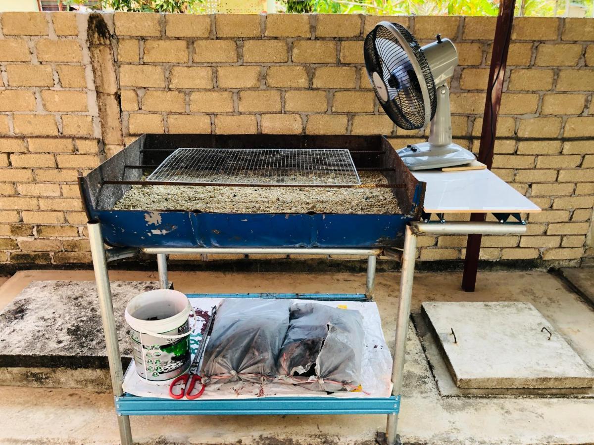 פסיר פוטה Homestay Tok Abah Dalam Rhu מראה חיצוני תמונה